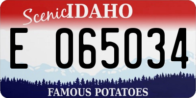 ID license plate E065034