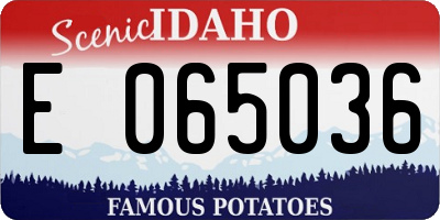 ID license plate E065036