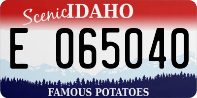 ID license plate E065040