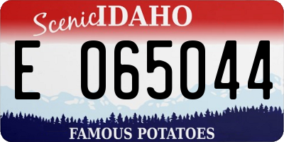 ID license plate E065044
