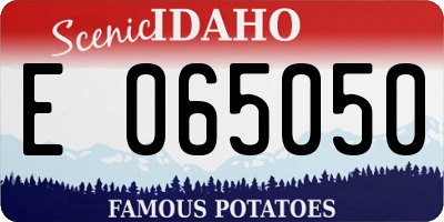 ID license plate E065050