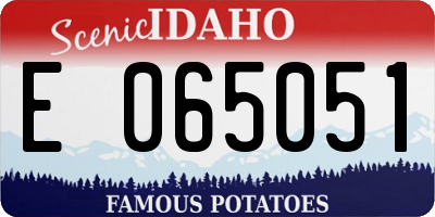 ID license plate E065051