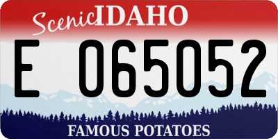 ID license plate E065052