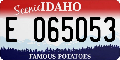 ID license plate E065053