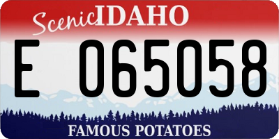 ID license plate E065058