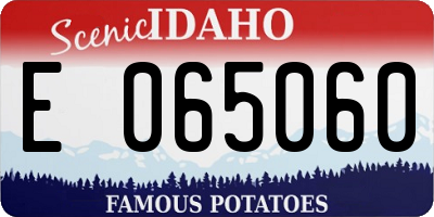 ID license plate E065060