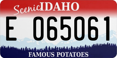 ID license plate E065061
