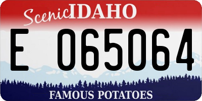 ID license plate E065064