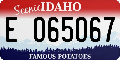 ID license plate E065067