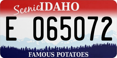 ID license plate E065072