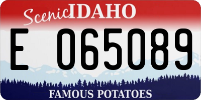 ID license plate E065089