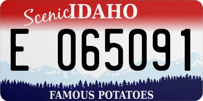 ID license plate E065091