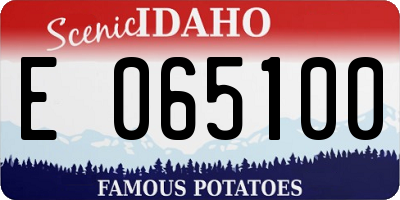 ID license plate E065100
