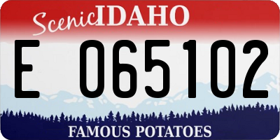 ID license plate E065102