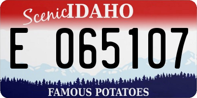 ID license plate E065107