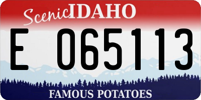 ID license plate E065113