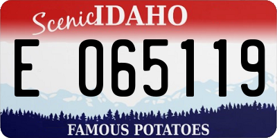 ID license plate E065119