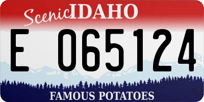 ID license plate E065124