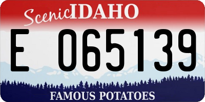 ID license plate E065139
