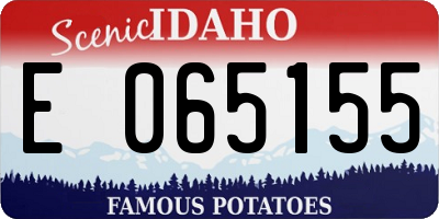 ID license plate E065155
