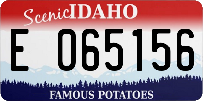 ID license plate E065156