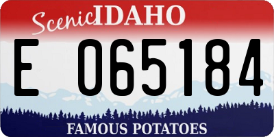 ID license plate E065184