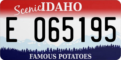 ID license plate E065195