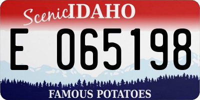 ID license plate E065198