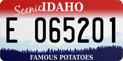 ID license plate E065201