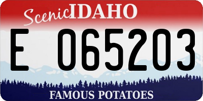 ID license plate E065203