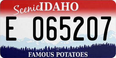 ID license plate E065207