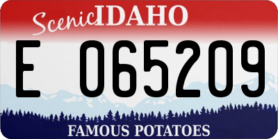 ID license plate E065209