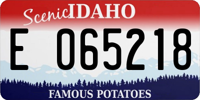 ID license plate E065218