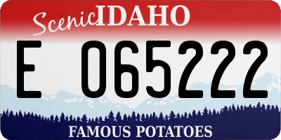ID license plate E065222