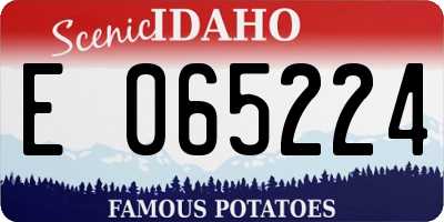 ID license plate E065224