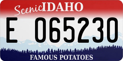 ID license plate E065230