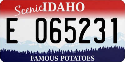 ID license plate E065231