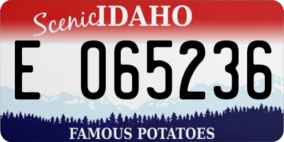 ID license plate E065236