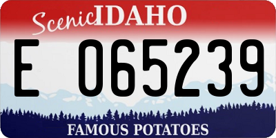 ID license plate E065239