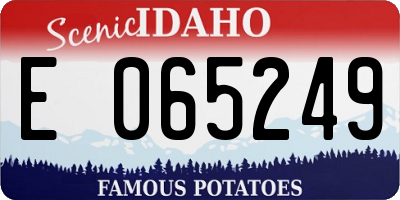 ID license plate E065249