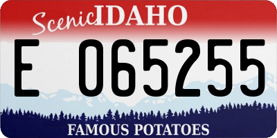 ID license plate E065255