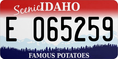 ID license plate E065259