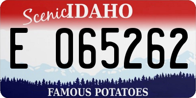 ID license plate E065262