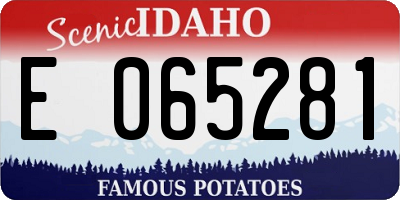 ID license plate E065281