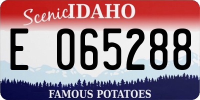 ID license plate E065288