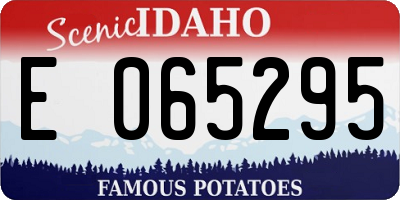 ID license plate E065295