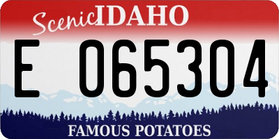 ID license plate E065304
