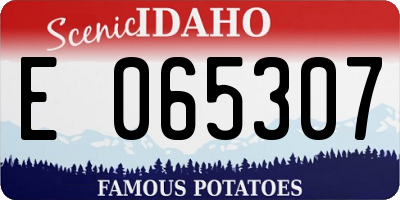 ID license plate E065307