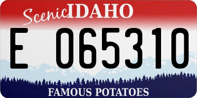 ID license plate E065310