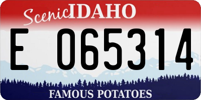ID license plate E065314
